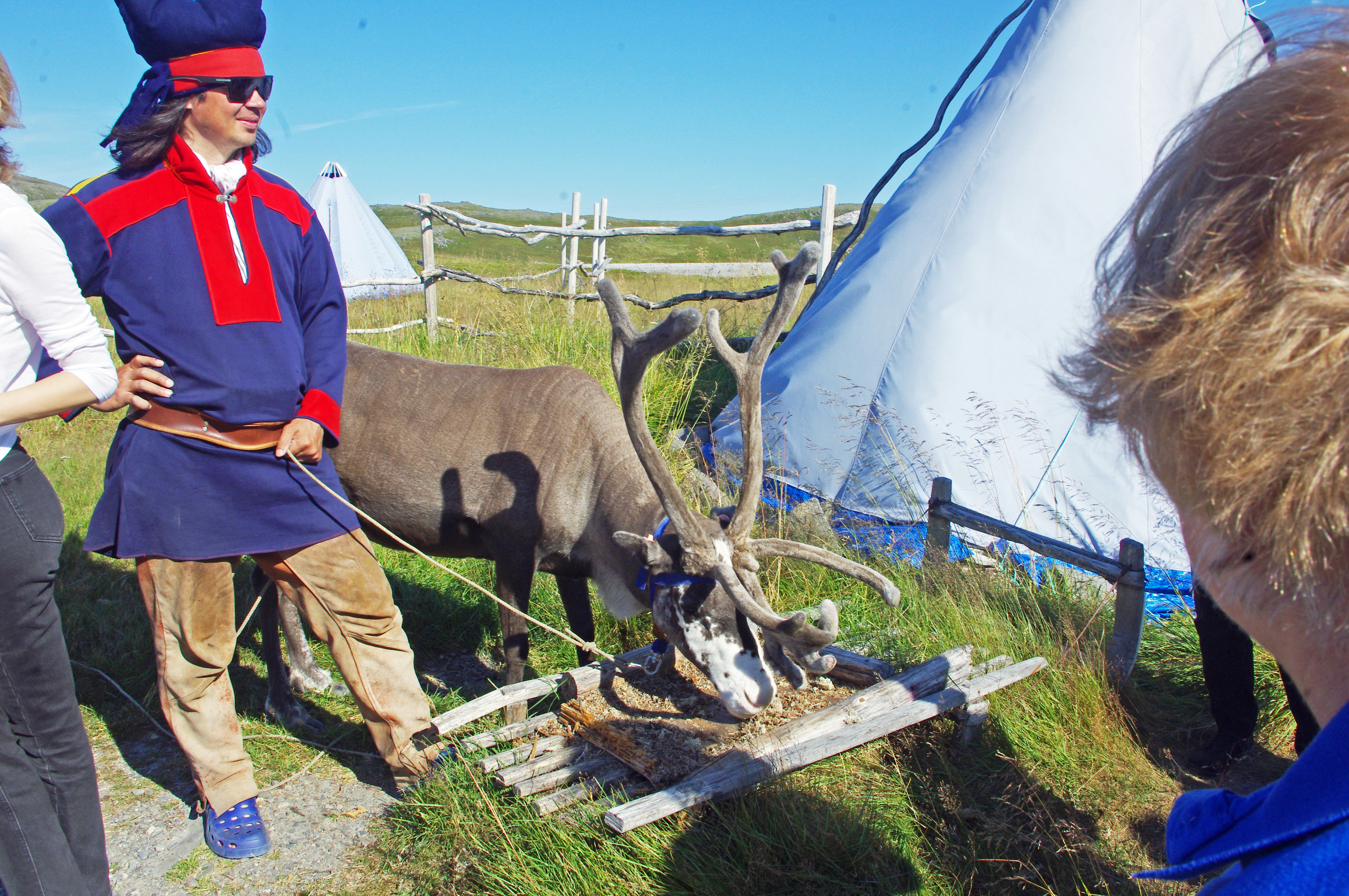 Reindeer Owner wth Reindeer